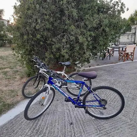 شقة Dadee's Place